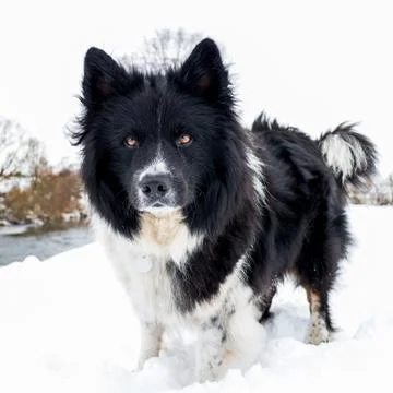 Very classy Stock Photos