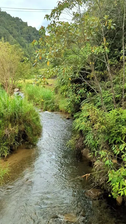 Very clean and clear river water flow 스톡 동영상 289123340