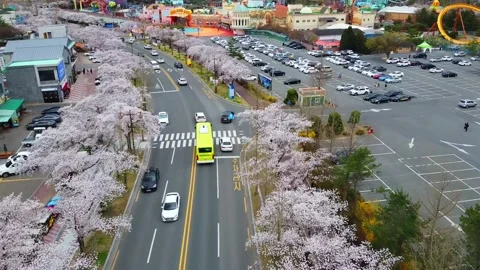 Very clean city Stock Footage 211883146
