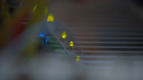 In a very close fixed plane, the camera focus travels through various Stock Footage 195509817