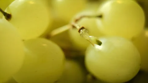 Very close-up macro of fresh white grapes Видео 247311351
