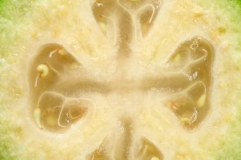 Very close macro slice tropical fruit feijoa. Stock Photos