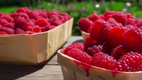 Very close up of raspberries in the wicker baskets Stock Footage 112787342