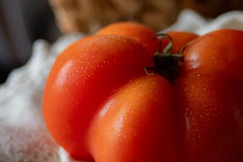 Very close up side view of freshly harvested tomato with blurred background. Stock Photos
