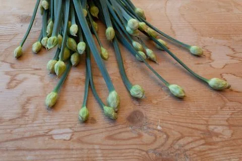 Very close view of budded tips of chives on an old wood table Stock Photos