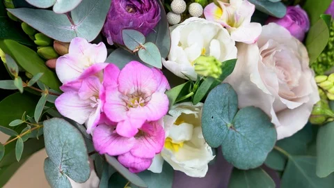 Very close view of white, rose and violet colored flowers.  Stock Footage 86796284