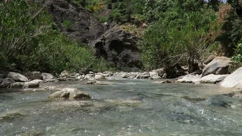 Very closeup clean water stream flow between the rocks and bushes Stock Footage 111235084