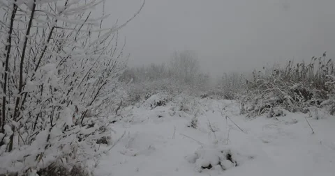 Very cloudy day and snowfall, 4K slomo Stock Footage 168906779