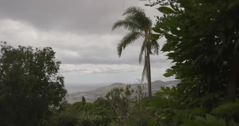 A very cloudy day in Madeira, 4K slomo Stock Footage 254201557