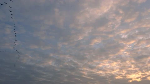 Very cloudy sky at sunrise with flying birds - background - real time Stock Footage 143343869