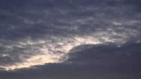 Very cloudy sky at sunrise with flying birds - background - real time Stock Footage 155242162