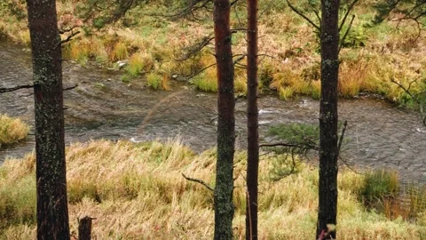A very cool little river flows past trees and hills. Cool autumn nature Stock Footage 220150173
