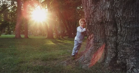 Very cute and funny boy hiding out beside of a big tree in the middle of the Stock Footage 115849697