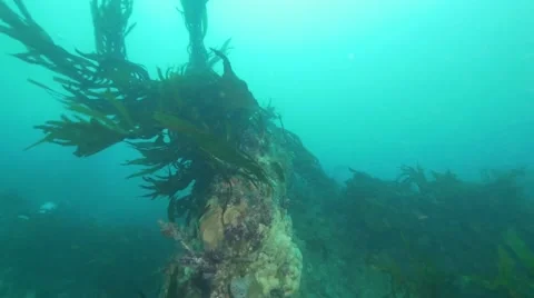 Very dangerous storm underwater. Waves. Vidéo 66856417