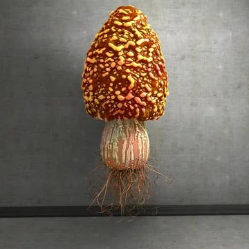 Very detailed strange Mushroom Morel 3D Model