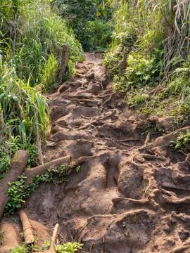 Very difficult path to Queens Bath on coast near Princeville Kauai Stock Photos