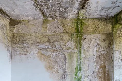 Very dirty walls and ceiling in the room Stock Photos