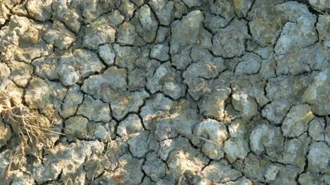Very drying up the soil crust earth climate change. Stock Footage 158062798