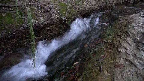 Very fast brook - handheld close up Stock Footage 100094082