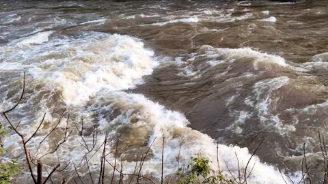 Very fast flowing river after a bad storm and heavy rain. Stock Footage 145764182