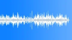 The Very First NoelStock Music
