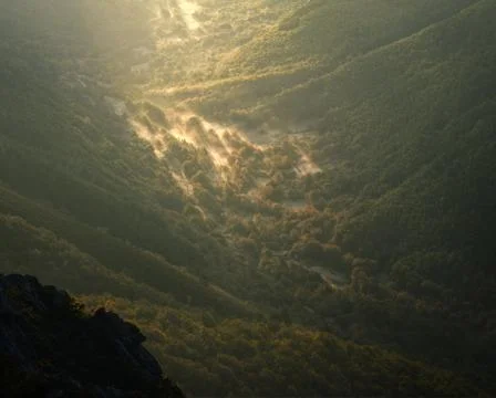 Very first rays of light over grasslands and forests Stock Photos