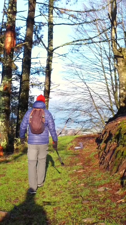 A very happy hiker man in a beech forest in the mountains. Liberty sensation Stock Footage 262141659