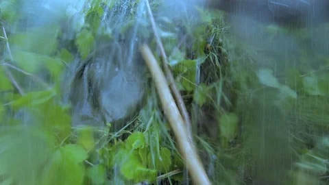 Very heavy pouring rain Stock Footage 103182882