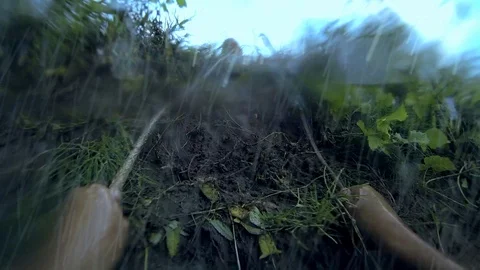 Very heavy pouring rain Stock Footage 103182912