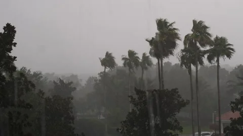 Very heavy rain falling during a thunderstorm or typhoon Stock Footage 157302496