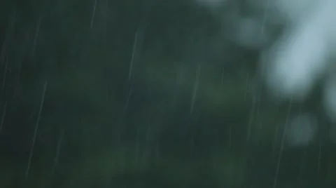 Very heavy rain, focus Stock Footage 51651298