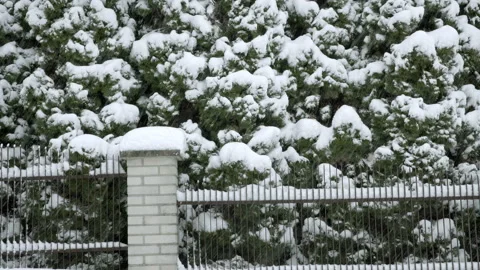 Very heavy snowfall on a cold winter day Stock Footage 237478651
