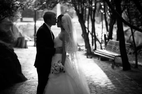 Very important event, wedding, bride, groom, holiday, happiness, Stock Photos