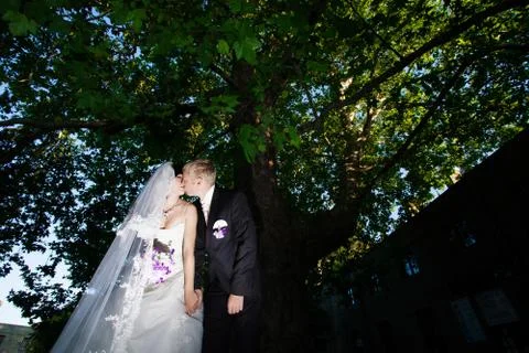 Very important event, wedding, bride, groom, holiday, happiness, Stock Photos