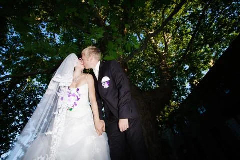 Very important event, wedding, bride, groom, holiday, happiness, Foto stock