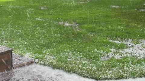Very intensive summer hail bouncing on green grass. Panning video, hail Sound Stock Footage 135693186