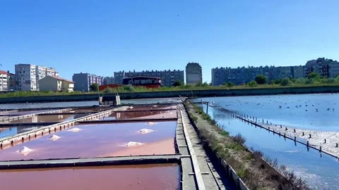 A very interesting extraction of salt from a salt lake. White piles of salt. Stock-Footage 252170727