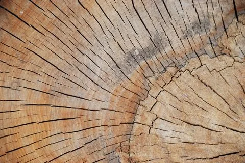 Very interesting pattern, shape, background Stock Photos