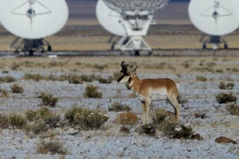 Very Large Array satellite dishes t in New Mexico, USA Stock Photos