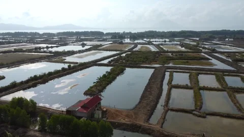 A very large marine fish pond is located right next to the sea Stock Footage 255717840