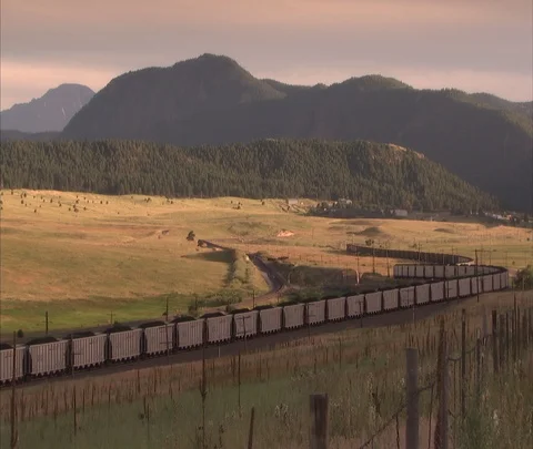 Very long coal train stopped on grassy plain Stock Footage 86692385