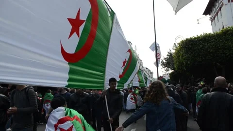 Very long flag of algiers during Hirak Stock Footage