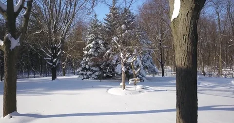 Very low altitude drone flight in pristine snow covered suburban backyard. Vídeos de archivo 83763724