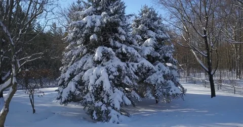 Very low altitude drone flight in pristine snow covered suburban backyard. Video stock 83763745
