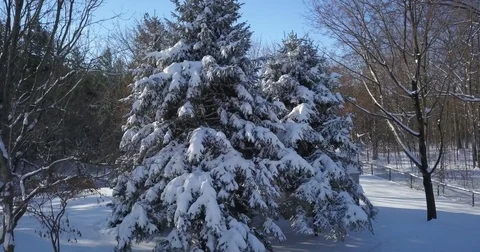 Very low altitude drone flight in pristine snow covered suburban backyard. Vidéo 83763746