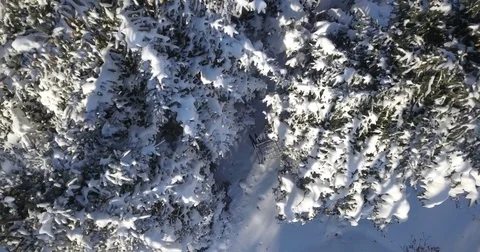 Very low altitude drone flight in pristine snow covered suburban backyard. Vídeos de archivo 83763795