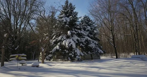 Very low altitude drone flight in pristine snow covered suburban backyard. 스톡 동영상 83794782