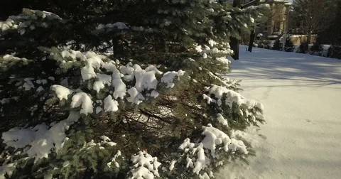 Very low altitude drone flight in pristine snow covered suburban backyard. Video stock 83794944