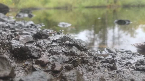 Very Low Angle View Of Wet Dark Rocks On A Riverbank Stock Footage 348063062