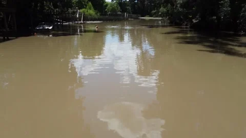 Very low fly over the small river in South America Stock Footage 148695726